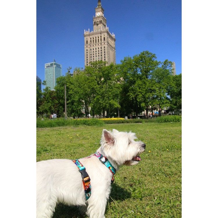 Nylon Harness – Travel