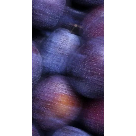 Perfume Oil - Craving the Moment, 10ml