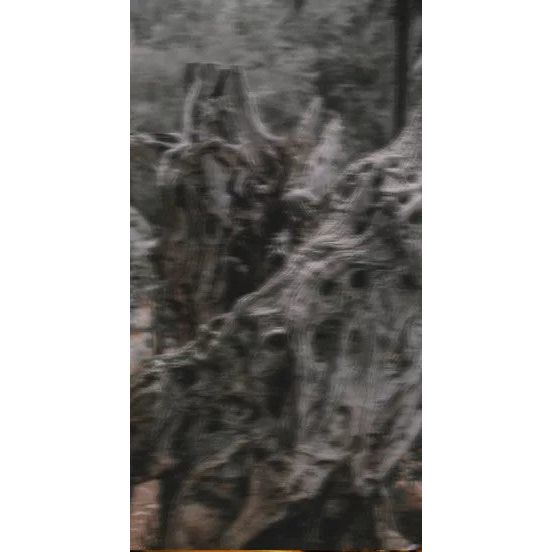 Perfume Oil - Temple Of Sensus, 10ml