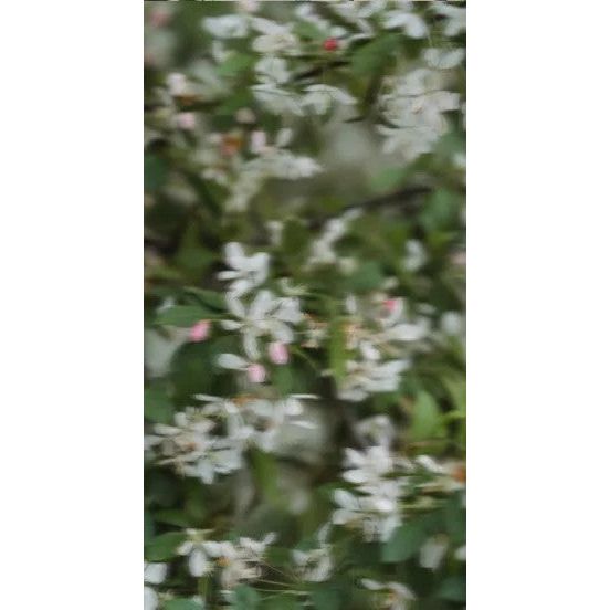 Perfume Oil - Under The Sheets, 10ml