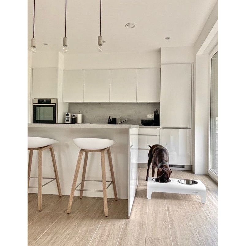 Rico Cat/Dog Feeder - White