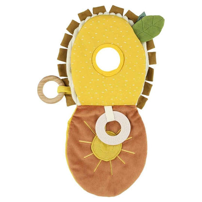 Sensory book - Mr. Lion