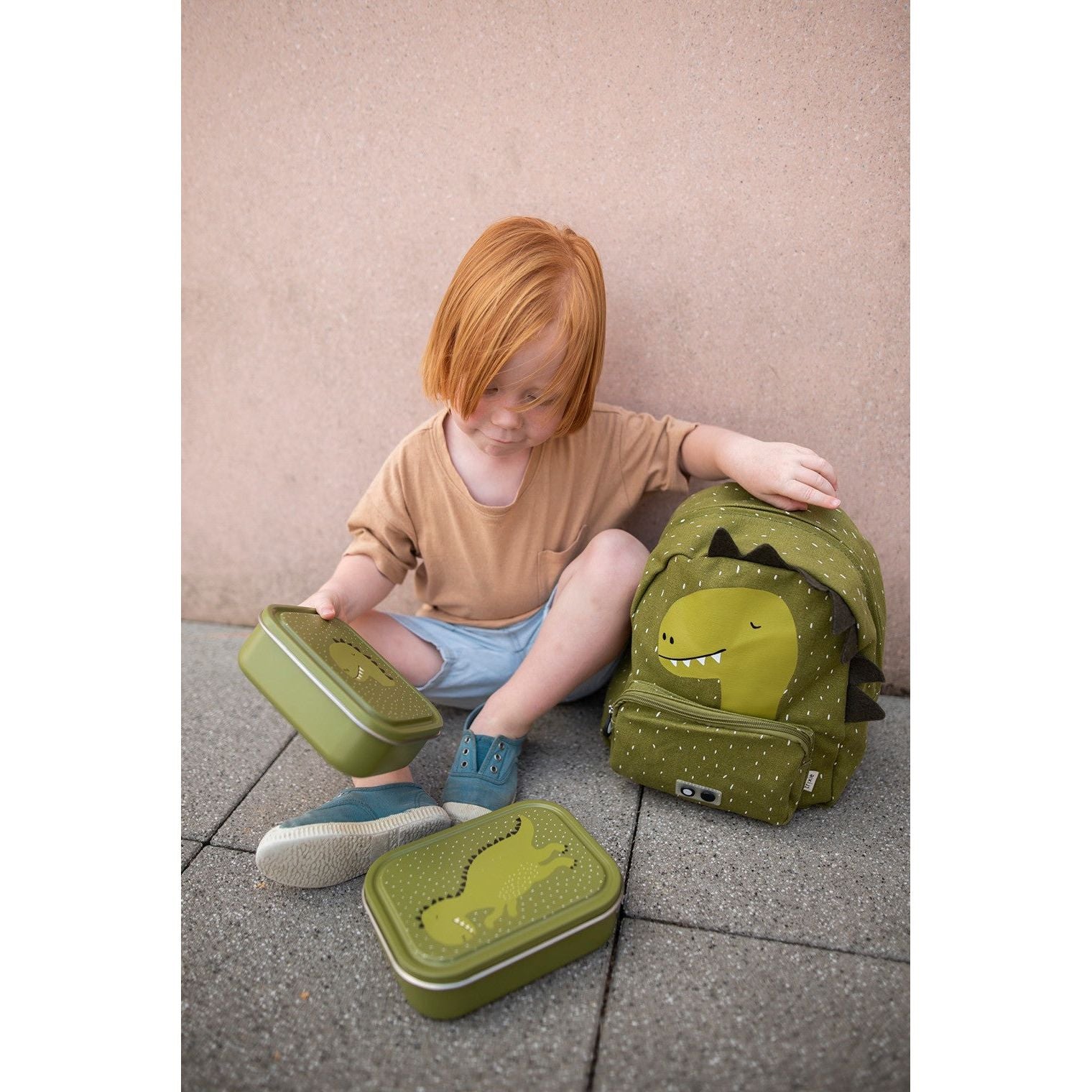 Small Lunch Box - Mr. Dinosaur