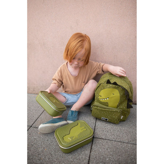 Small Lunch Box - Mr. Dinosaur