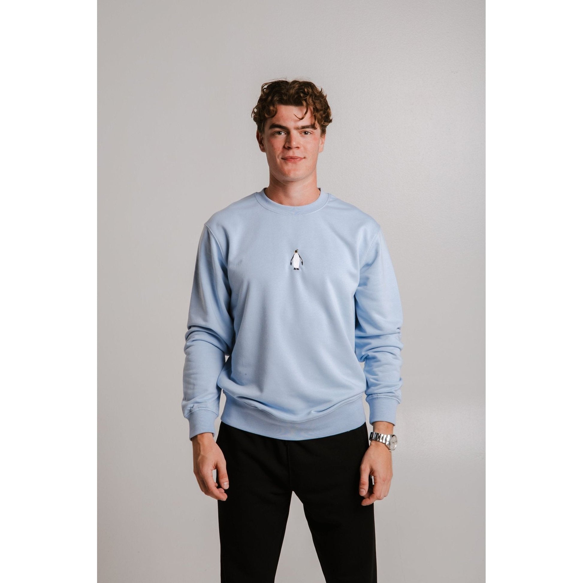 Emperor Penguin Soft Fleece Sweatshirt - Light Blue
