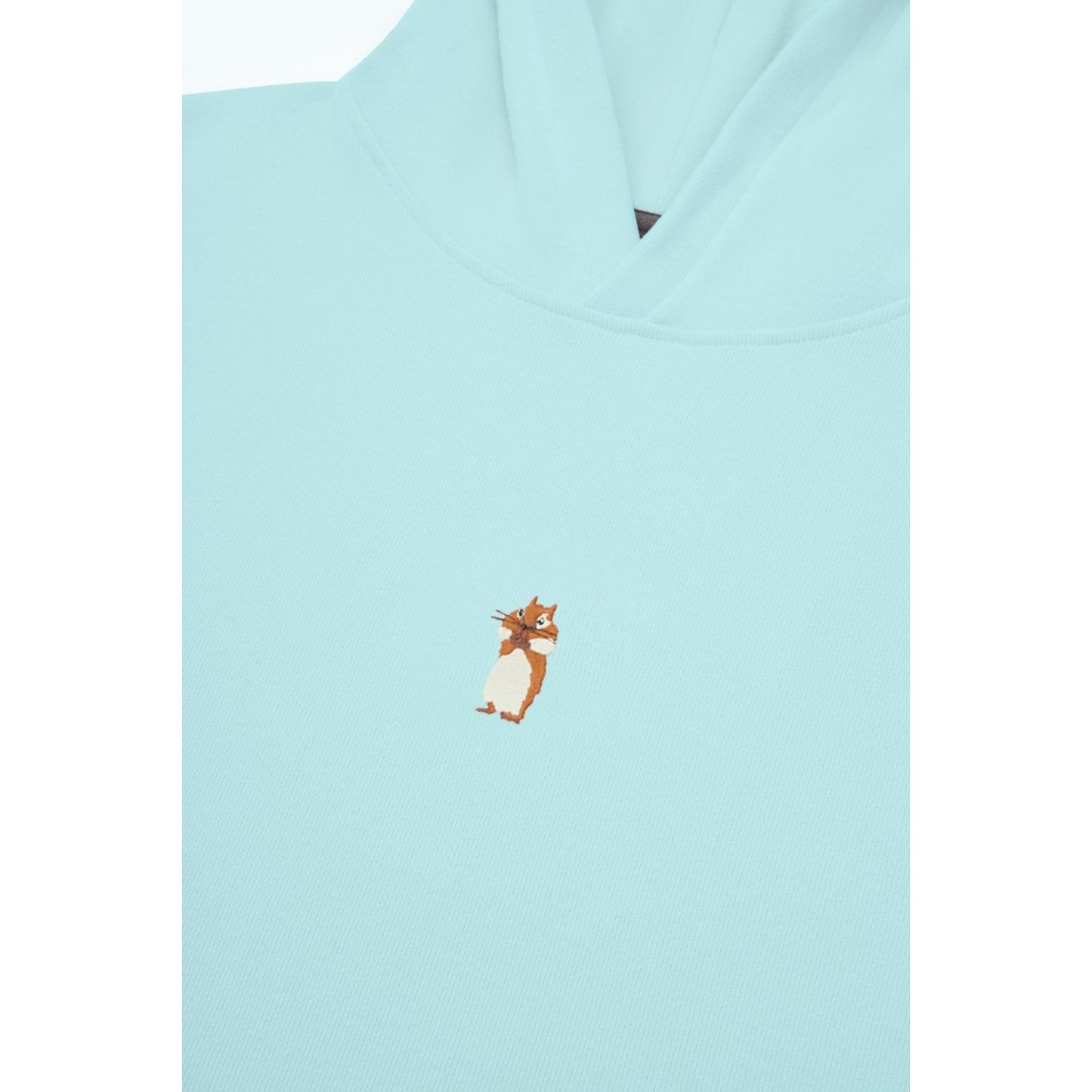 Squirrel Hoodie - Mint