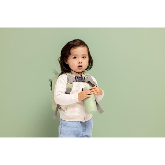 Stainless Steel Bottle 350 ml - Mr. Dragon