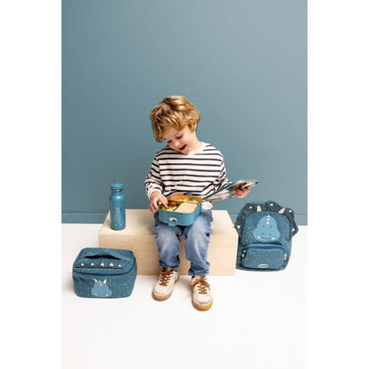 Stainless Steel Bottle 350 ml - Mr. Triceratops