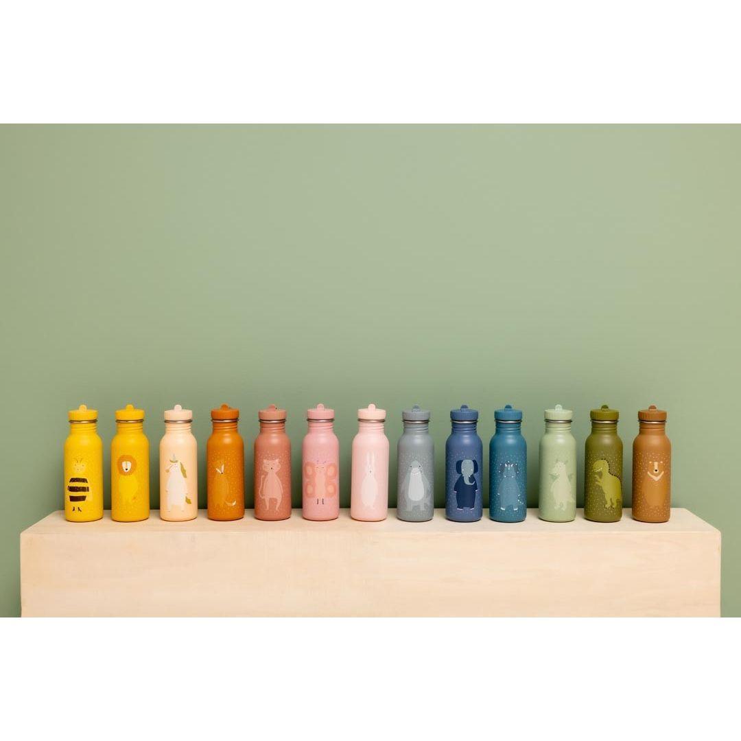 Stainless Steel Bottle 500 ml - Mr. Triceratops