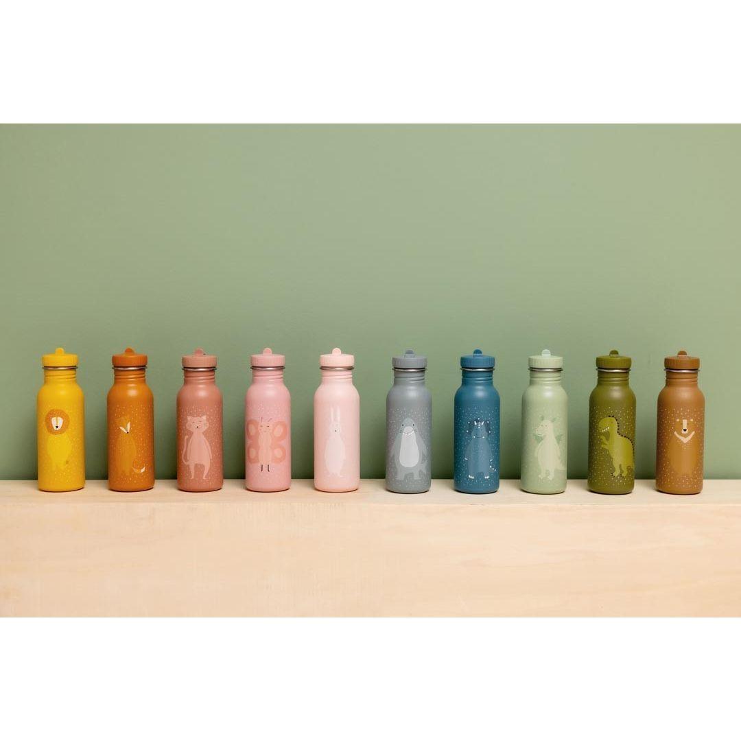Stainless Steel Bottle 500 ml - Mr. Triceratops