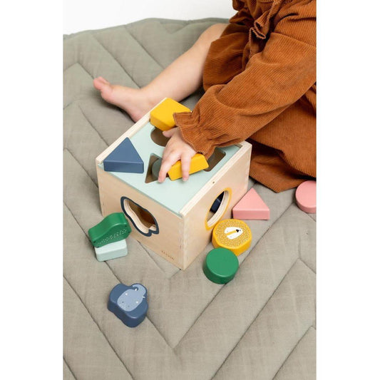 Wooden Shape Sorter