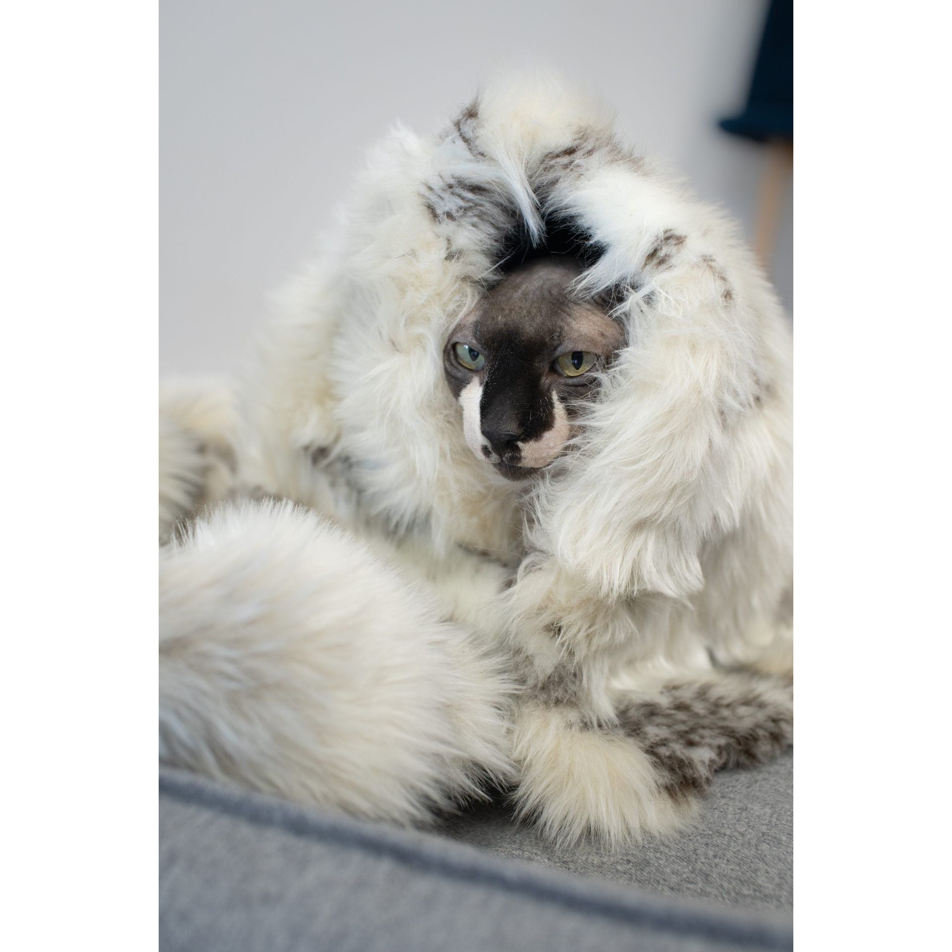 Tösse Blanket - Brown & White
