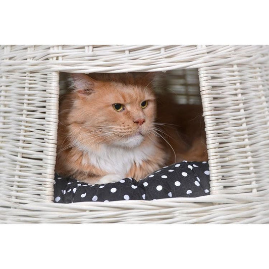 Whitewashed Wicker Cat House Cari With Cushions